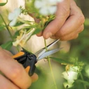 Fiskars SP13 Ψαλίδι Τρύγου Μήκους 14cm