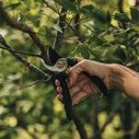 Fiskars Pruning Shears 26 cm – Max Cutting Diameter 20 mm, Model 1057162