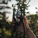 Fiskars PowerLever P721 Pruning Shears 28.5 cm