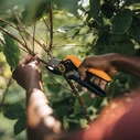 Fiskars Pruning Shears 28.5 cm (Max Cutting Ø 24 mm) - Model 1057171