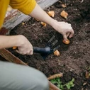 Fiskars Hand Cultivator (3-Tine) with Handle - MPN 1072100