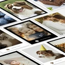 Xiaomi Mi Portable Photo Printer Pro Θερμικός Εκτυπωτής για Φωτογραφίες με Bluetooth BHR082QGL