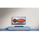 Xiaomi Soundbar Pro 2.0ch QBH4344EU