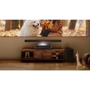 Hisense PT1 16:9 UHD 4K (3840x2160) Laser DLP Smart Projector with HDMI, DisplayPort, Wi‑Fi, RJ45 and Built-in Speaker