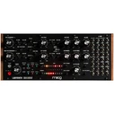 Moog Συνθεσάιζερ (MOOG LABYRINTH)