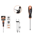 Screwdriver Phillips Shind Ph1x100mm