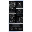 Simagic Add-On Τιμονιέρας NEO-X 330R
