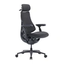 LiberNovo OC1-PRO Office Chair with Adjustable Arms, Graphite