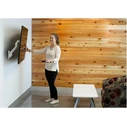 Ergotron HX Wall Monitor Mount (white) up to 42" (106.7 cm), supports 9.1–19.1 kg, raises 29.2 cm — VESA 75x75 / 100x100 / 200x100 / 200x200