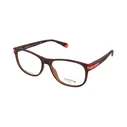 Polaroid Men's Acetate Eyeglass Frame Brown Tortoise PLD D417 N9P