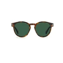 Polaroid Men's Sunglasses PLD6175/S 086/UC - Brown Havana Acetate Frame with Green Polarized Lenses
