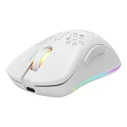 Deltaco Gaming Ποντίκι USB RGB, λευκό (GAM-120-W)