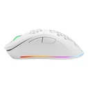Deltaco Gaming Ποντίκι USB RGB, λευκό (GAM-120-W)