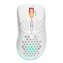 Deltaco Gaming Ποντίκι USB RGB, λευκό (GAM-120-W)