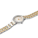 Pierre Cardin Γυναικείο Ρολόι 30mm Ασημί/Γκρι Μεταλλικό Μπρασελέ CF.0607.SU.G