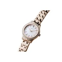 Pierre Cardin Women's Watch CF.0611.SC.RG