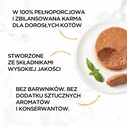 Gourmet Υγρή Τροφή για Ενήλικες Γάτες σε Κονσέρβα με Γαλοπούλα και Κρέας 85gr