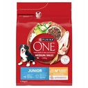 Purina ONE 2.5kg Dry Food for Puppies with Chicken & Rice