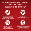 Purina ONE 2.5kg Dry Food for Puppies with Chicken & Rice