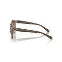 Γυναικεία Γυαλιά Ηλίου Armani Exchange AX4127S 82408Z — Καφέ κοκκάλινος σκελετός, Καφέ ντεγκραντέ φακός (54/17/140)