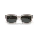 Γυναικεία Γυαλιά Ηλίου Armani Exchange AX4155SU 54/19/140 Γκρι Κοκκάλινος Σκελετός Γκρι Φακοί