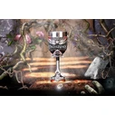 Nemesis Now Ο Κύριος των Δαχτυλιδιών Κούπα Aragorn 19.5cm