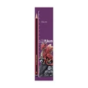 Collectibles Nemesis Now Vermillion Rune Protector 95cm