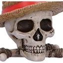 Anime Storage Box Nemesis Now One Piece Luffy Jolly Roger Box