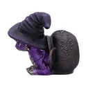 Collectibles Nemesis Now Brew Tail