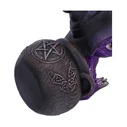 Collectibles Nemesis Now Brew Tail