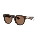 Burberry Men Sunglasses BE4439 0273 (51/21/145) Brown Acetate Frame, Brown Lenses