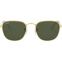 Ray Ban Frank Unisex Γυαλιά Ηλίου RB3857 919631 — Χρυσός Μεταλλικός Σκελετός, Πράσινος φακός G15, Μέγεθος 51/20/145