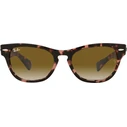 Ray‑Ban Laramie Unisex Γυαλιά Ηλίου – Καφέ Ταρταρούγα Κοκκάλινο Σκελετό, Καφέ Ντεγκραντέ Φακό RB2201-133451