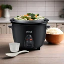 UFESA Rice Cooker AR4080 BASTAMI 700 W 1.8 L