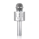 LENCO Karaoke Microphone BMC-040SI Silver