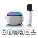 Bluetooth Speaker with Wireless Microphone RGB Lighting and Karaoke Function LENCO BTC 020WH