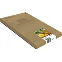 Epson 604/604XL Πολυπακέτο 4τεμ. XL Μαύρο (C13T10H94020)