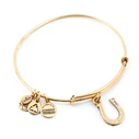 Women's Gold-Plated Bracelet Alex and Ani A09EB141RG (8.7300)