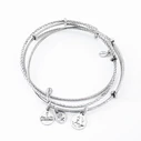Alex and Ani Women's Bracelet Set — A09EB150RS (19-25 cm)