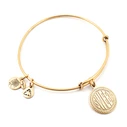 Women's Gold-Plated Bracelet Alex and Ani A10EB237RG (5.6600)