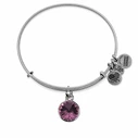 Women's Bracelet Alex and Ani A12EB245RS (Purple)