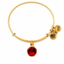 Women's Bracelet Alex and Ani A12EB246RG - Bright Red Element, Metal, Adjustable 19-25CM
