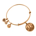 Women's Gold-Plated Bracelet Alex and Ani A13EB01GERG