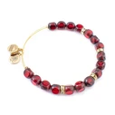 Γυναικείο Βραχιόλι Alex and Ani 20 cm - A13EB29RG