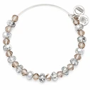 Γυναικείο Βραχιόλι Alex and Ani A13EB40RS 20 cm - Ρητίνη γκρι με smoky φινίρισμα