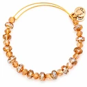Γυναικείο Βραχιόλι 20cm A13EB42RG - Alex and Ani