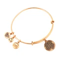 Alex and Ani Women's Gold Plated Bracelet 20 cm (A16EBFLCRG)