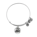 Γυναικείο Βραχιόλι Alex and Ani A16ERLRS 20cm