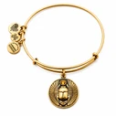 Women's Gold-Plated Bracelet 20 cm - Alex and Ani A16EBSCRG