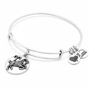 Γυναικείο βραχιόλι Alex and Ani A16EB50RS — 20 cm, μεταλλικό, Aries bracelet (3 φινιρίσματα), γκρι